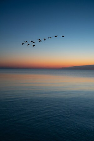 todd-trapani-hCdMjrL5C0Y-unsplash-1